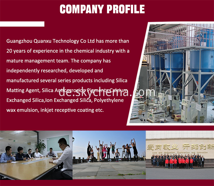 Company Profile